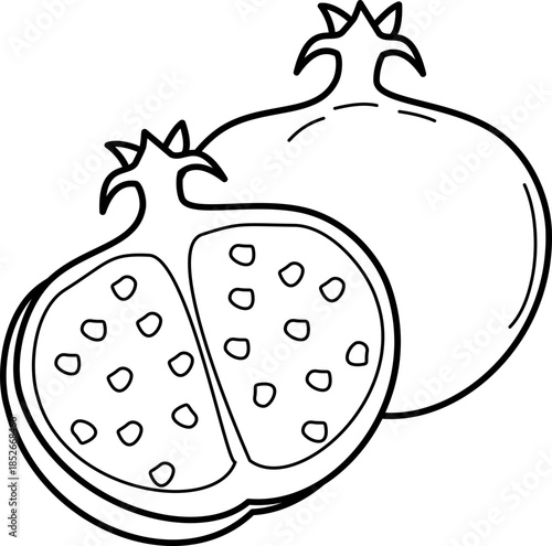 outline illustration of pomegrantee for coloring page