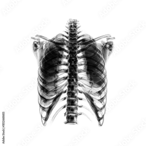 Human rib cage and spine in black and white halftone style. Anatomical chest illustration isolated on white background for medical, science, education or conceptual design use.