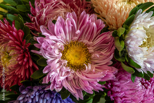 Still life with a close-up of a bouquet of beautiful multi-colored dahlias.
