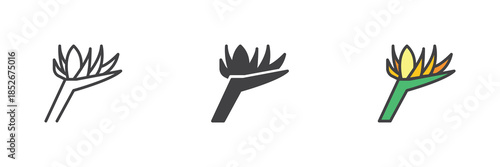 Blossom petals line, solid and colorful different style icon set pack