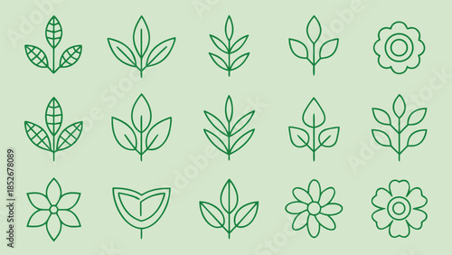 Collection of green line art plant icons. minimalist botanical symbols featuring various leaf shapes and flowers