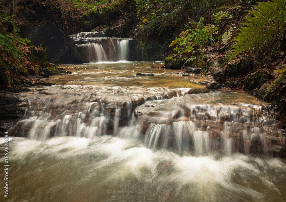 Fototapeta premium Small cascading waterfalls on the Dallington Stream in Dallington Forest on the high weald in east Sussex south east England UK