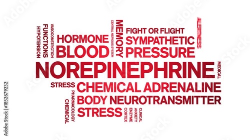 Norepinephrine animated word cloud-text design animation tag kinetic typography seamless loop.