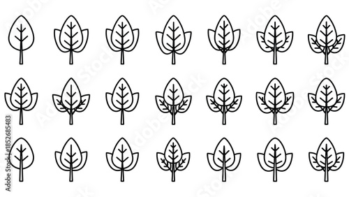 Collection of black and white line art icons showing spinach leaves at different growth stages