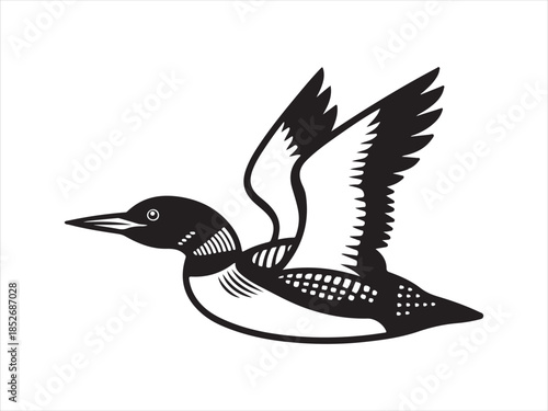 Loon Flying Bird Silhouette, Vector, Illustration.  Loon silhouette vector illustration on flying design