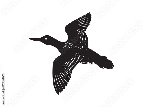 Loon Flying Bird Silhouette, Vector, Illustration.  Loon silhouette vector illustration on flying design