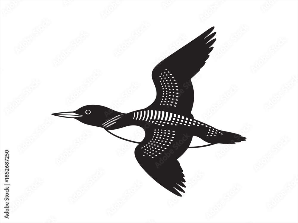 Obraz premium Loon Flying Bird Silhouette, Vector, Illustration