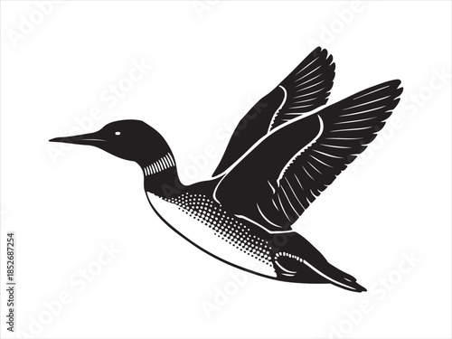 Loon Flying Bird Silhouette, Vector, Illustration