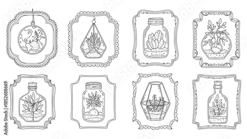 Collection of hand-drawn terrariums and plants in glass containers, such as jars, bottles, and hanging displays, inside decorative vintage frames.