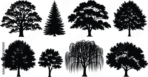 Black tree silhouettes set featuring deciduous and evergreen forest trees isolated on white background for nature design projects