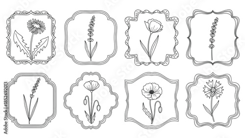 A beautiful collection of hand-drawn wildflowers, featuring dandelions, lavender, poppies, and cornflowers, each presented within a decorative vintage frame.