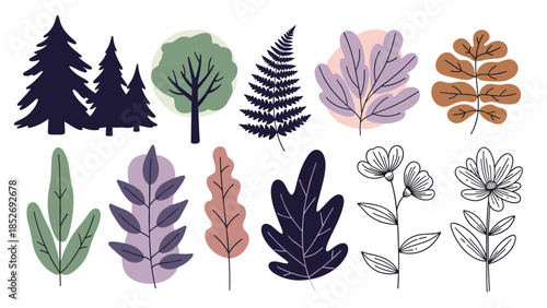A modern collection of stylized botanical elements, including pine trees, a fern, various leaves with abstract color shapes, and outlined flowers.