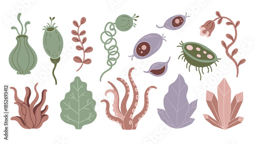 A unique collection of alien plants, fantasy flowers, and strange otherworldly foliage for creating science fiction scenes. This imaginative set features unusual shapes and textures.