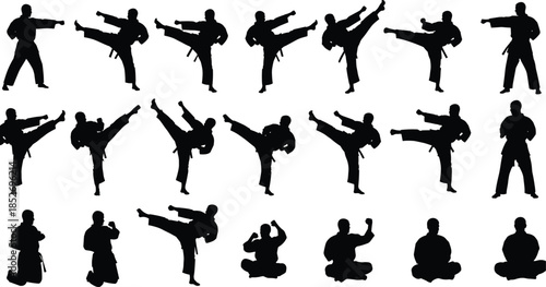 Martial arts fighter silhouettes performing powerful kicks stances and meditation poses vector collection isolated on white background for combat sport design