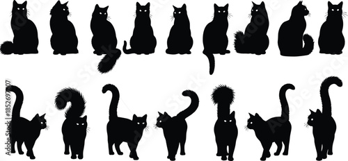 Set of black cat silhouettes in sitting and walking poses vector collection isolated on white background for pet animal design use