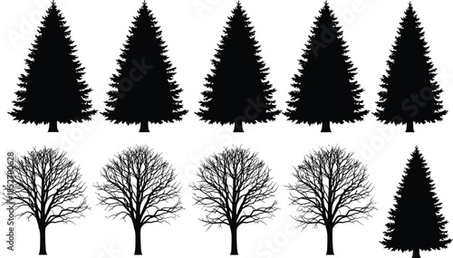 Set of pine and leafless tree silhouettes vector collection isolated on white background for nature landscape design use