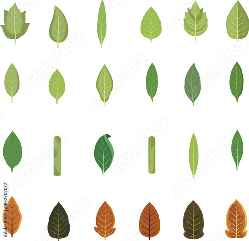 Tobacco Leaf Varieties Set in Clean Flat Vector Style