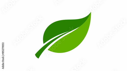 Green Leaf with a Curved Line Symbolizing Growth and Nature