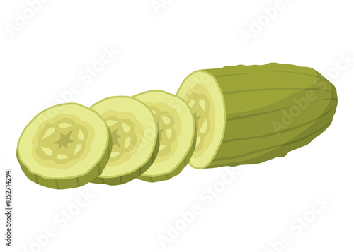 Homemade pickled cucumber. Clip-art of marinated food for packaging, label, menu, signboard or showcase. Fermented veggies, crunch gherkin with salt. Healthy vegetarian food