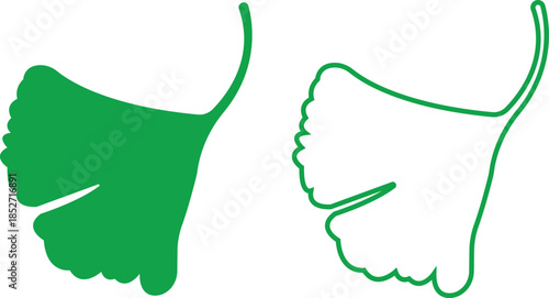 Green ginkgo biloba leaf icons set in flat and outline styles. Vectors graphic illustration depicting nature herbal medicine health Wellness botanical foliage elements collection minimalist designs.