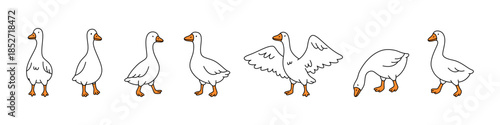 Set of minimalist cartoon geese in various poses. Outlined vector geese with flat orange accents