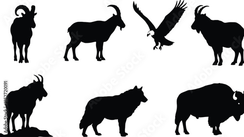 Wildlife Silhouettes of Animals in Nature, Black and White Vector Illustrations