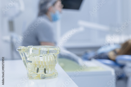 Tableau sur toile Dental implant jaw model on clinic desk during patient consultation in modern de