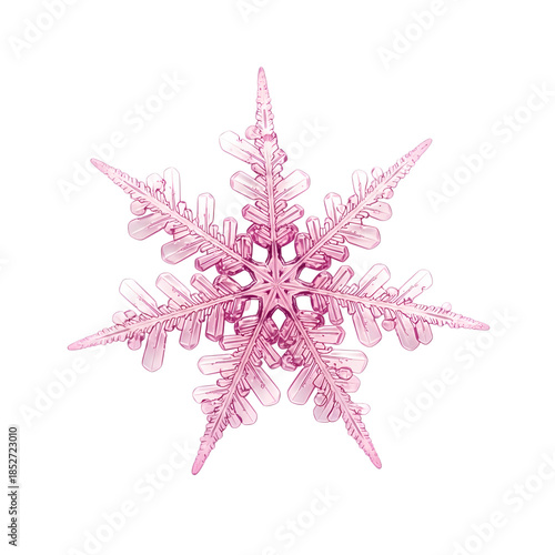 Delicate pink crystalline snowflake with intricate geometry, PNG with alpha channel