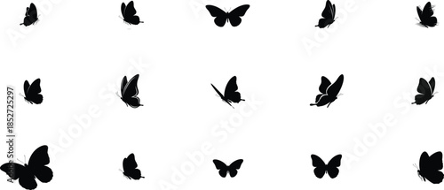 Collection of black butterfly silhouettes in various flight positions