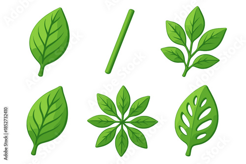 Collection of various green leaves and stems on white background