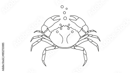 Detailed Line Art Illustration of a Crab with Bubbles.