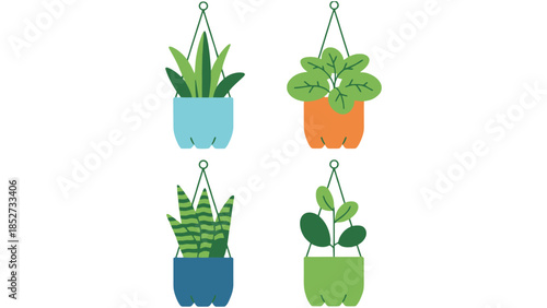 Four colorful hanging houseplants in recycled planters, bringing vibrant nature indoors.