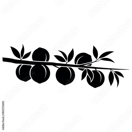 Black Silhouette of a Branch with Peaches.