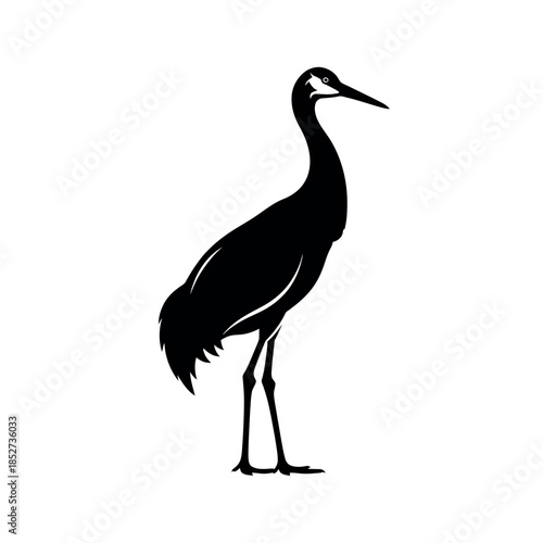 Silhouette of a Sandhill Crane standing gracefully.
