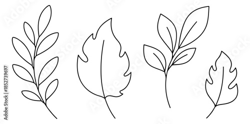 Line Art Foliage delicate line art, leaves creating elegance and simplicity. evoking serenity and calm atmosphere, perfectly suited for designs, decoration and artistic expression.