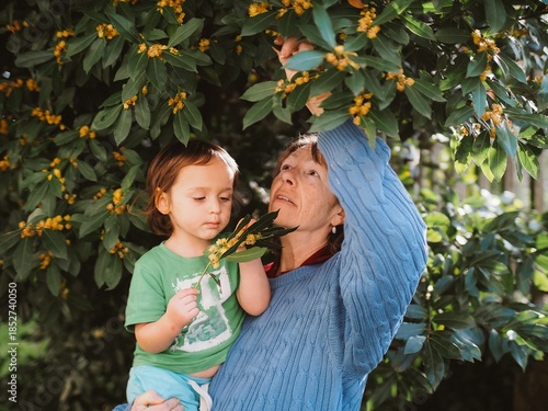 Grandma and grandson are enjoying a bonding moment under a leafy tree, picking and examining leaves with curiosity and care, capturing a special intergenerational interaction.