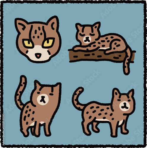 Hand-Drawn Margay Illustration Set, Tropical Rainforest Wild Cat Educational Cartoon