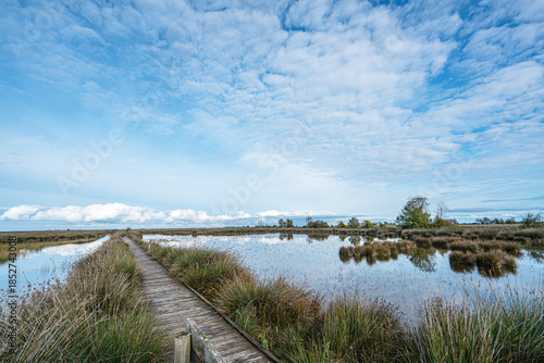The Scenic views of Kızılırmak Delta Bird Sanctuary, which is a vast delta teeming with thousands of bird species and natural wildlife, offering a serene escape for nature lovers in Bafra, Samsun
