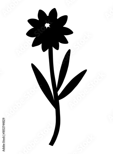 Closed wildflower bud with sepals, silhouette in black color. Blooming wild plant coreopsis, meadow flower shape. Botanical elements for design projects. Detailed floral vector illustration