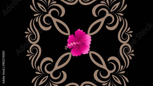 draw set of five pink lily flower enclose by golden frame in square shape on black screen background

