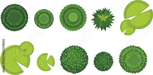 Top view green bushes and lily pads flat vector set for landscape design garden planning nature illustration elements