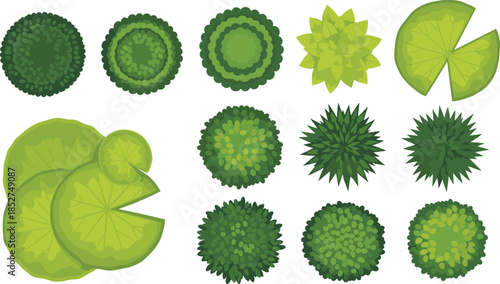 Top view green garden bushes and lily pads set flat vector illustration for landscape design nature icons collection elements isolated