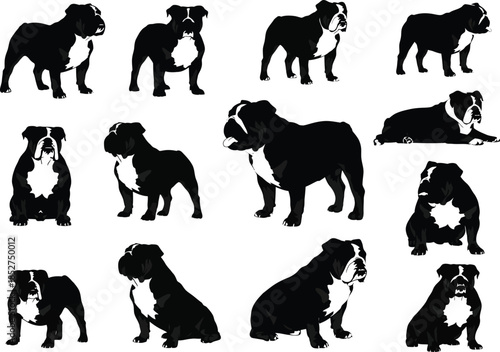 Collection of various bulldog poses and angles in black silhouettes on white background
