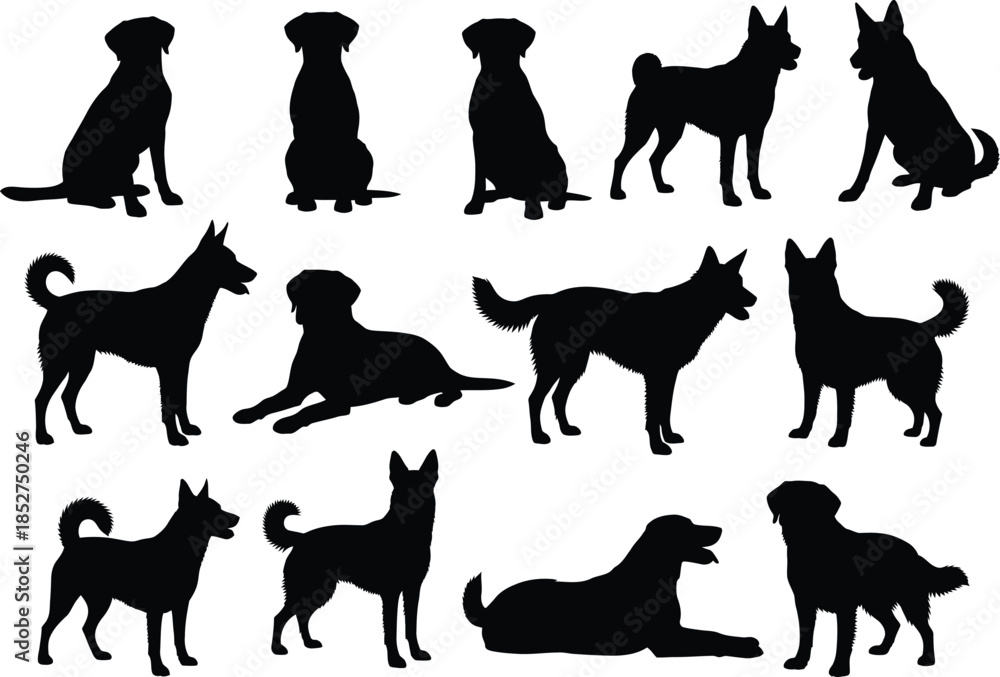 Fototapeta premium Collection of various dog breeds in different poses and silhouettes against a white background