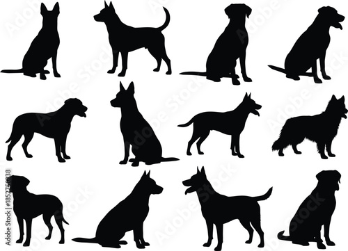 Collection of various dog breeds in different sitting and standing positions