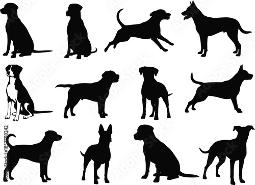 Collection of various dog breeds in silhouette profiles and poses