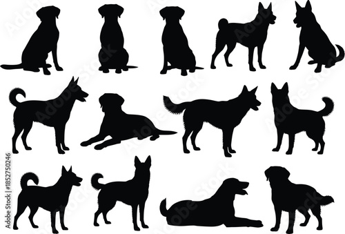 Collection of various dog breeds in different poses and silhouettes against a white background