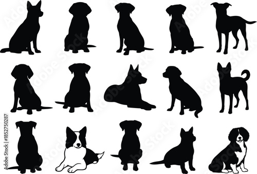 Collection of various dog breeds in silhouette sitting and standing in different poses and angles