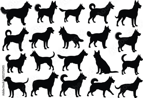 Collection of various dog breeds in different poses and silhouettes