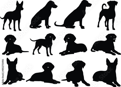 Collection of various dog breeds in silhouette sitting and lying down